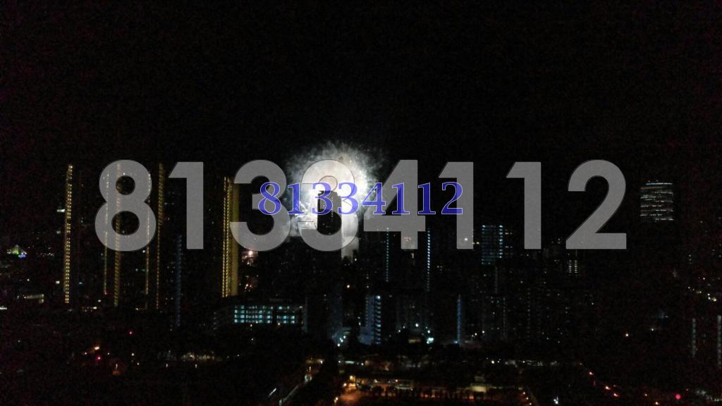 City Square Residences (D8), Condominium #88524002